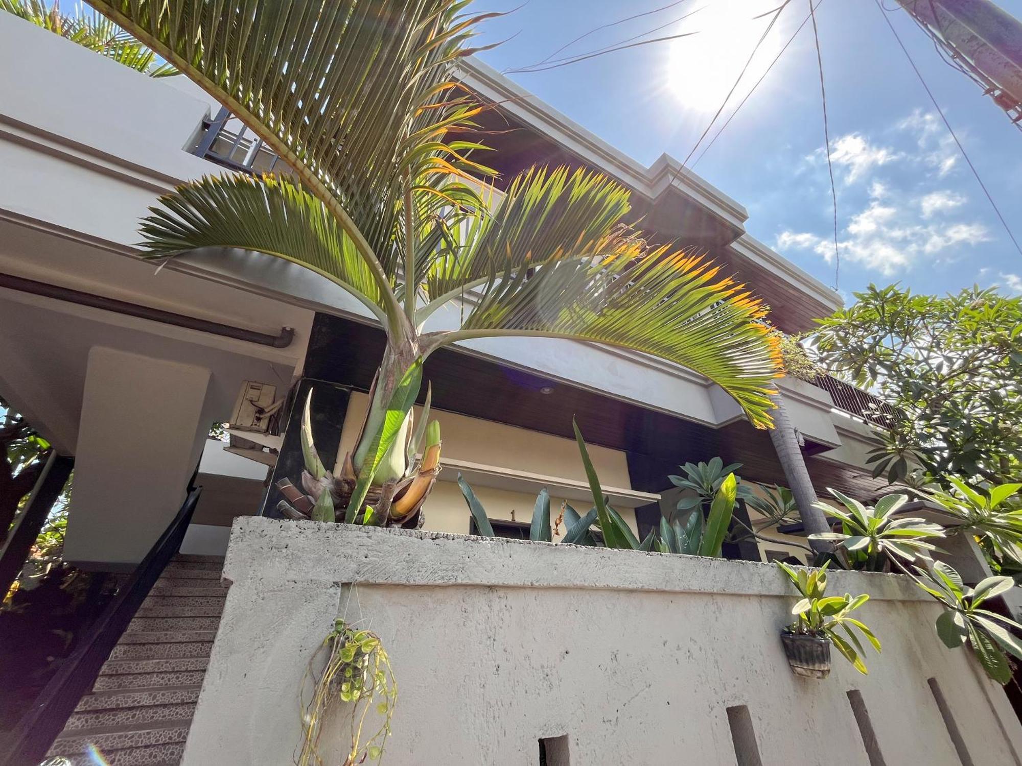 Adi Surya Guest House Семиньяк Экстерьер фото